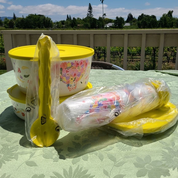 ๐๐ฝ๐ฅฃ NWTโผ๏ธ Tupperware brand Fanciful Floral design Get-It-All-Set - Picture 6 of 10